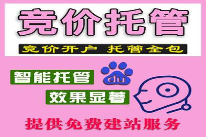 信息流投放策略：某电商平台的成功案例